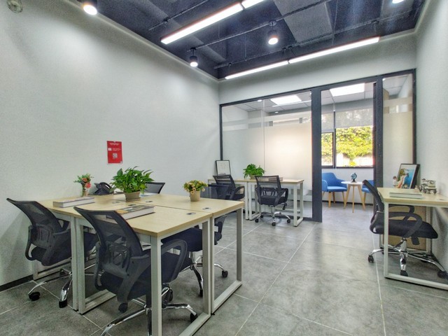 河南金钗石斛哪家质量好